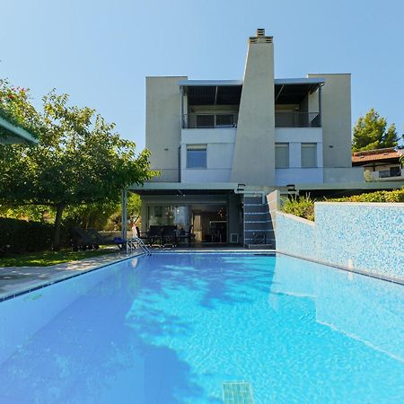 Deluxe Chrousso Pool Villa Paliouri Zewnętrze zdjęcie